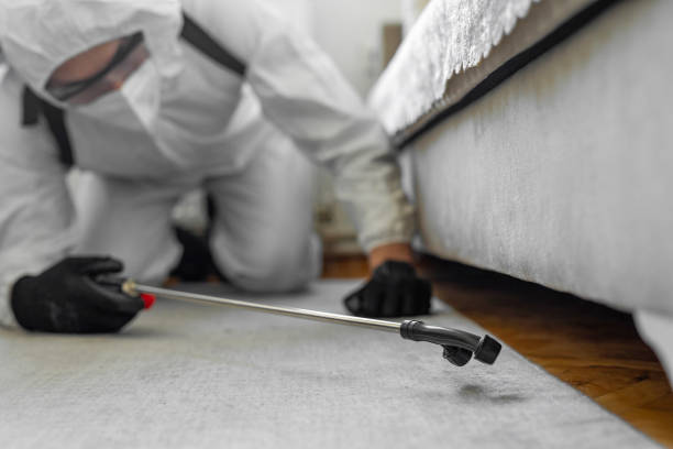 Professional Termite Control technician working in Severn, MD