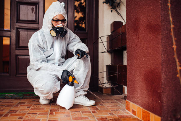 Reliable Termite Control contractor in Severn, MD by Nex Pest Control