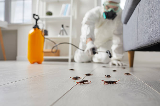 Affordable Termite Control solutions in Severn, MD