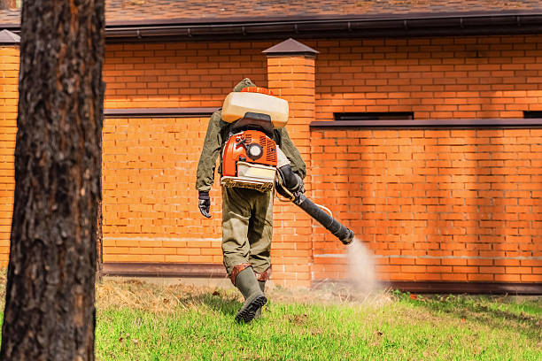Top rated local Termite Control specialists in Severn, MD